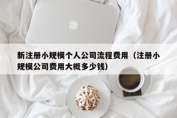 *
新注册小规模个人公司流程费用（注册小规模公司费用大概多少钱）