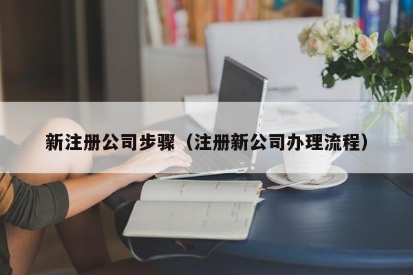 新注册公司步骤（注册新公司办理流程）