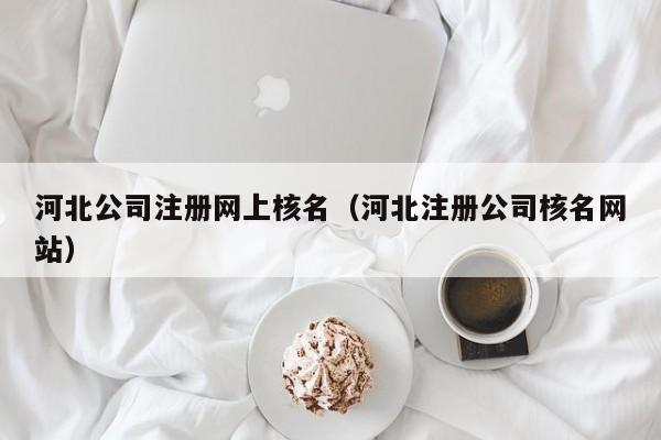 河北公司注册网上核名（河北注册公司核名网站）