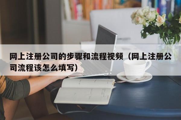 网上注册公司的步骤和流程视频（网上注册公司流程该怎么填写）