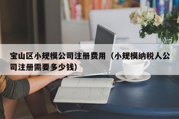 宝山区小规模公司注册费用（小规模纳税人公司注册需要多少钱）