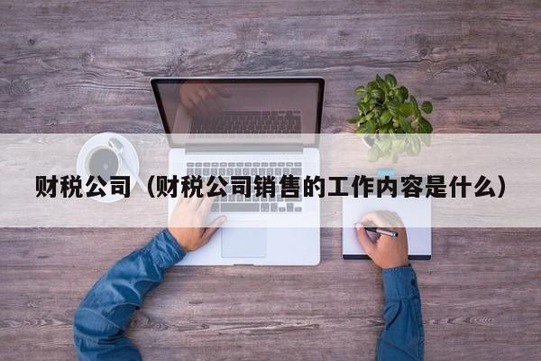 财税公司（财税公司销售的工作内容是什么）