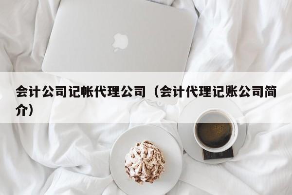 会计公司记帐代理公司（会计代理记账公司简介）
