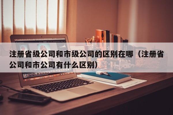 注册省级公司和市级公司的区别在哪（注册省公司和市公司有什么区别）