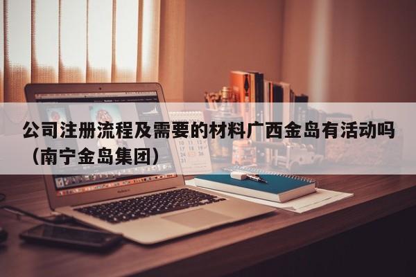 公司注册流程及需要的材料广西金岛有活动吗（南宁金岛集团）