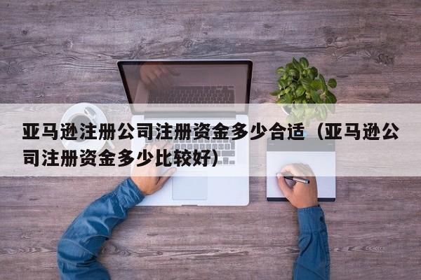 亚马逊注册公司注册资金多少合适（亚马逊公司注册资金多少比较好）