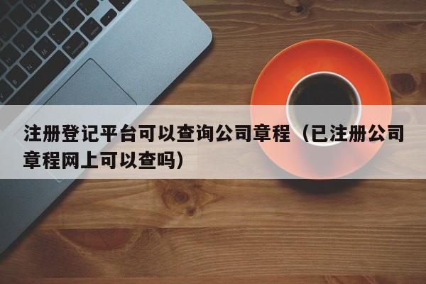 注册登记平台可以查询公司章程（已注册公司章程网上可以查吗）