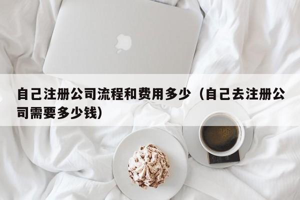 自己注册公司流程和费用多少（自己去注册公司需要多少钱）