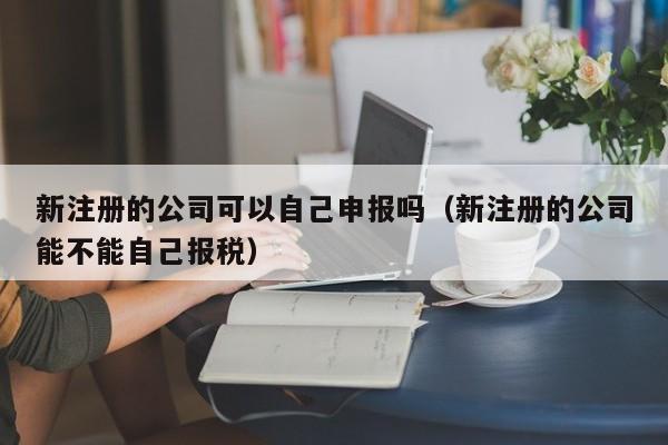 新注册的公司可以自己申报吗（新注册的公司能不能自己报税）