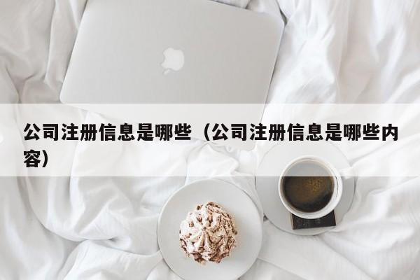 公司注册信息是哪些（公司注册信息是哪些内容）