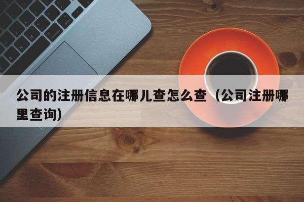 公司的注册信息在哪儿查怎么查（公司注册哪里查询）