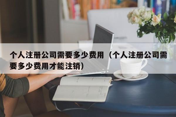 个人注册公司需要多少费用（个人注册公司需要多少费用才能注销）