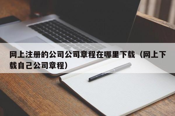 网上注册的公司公司章程在哪里下载（网上下载自己公司章程）