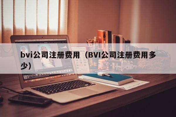 bvi公司注册费用（BVI公司注册费用多少）