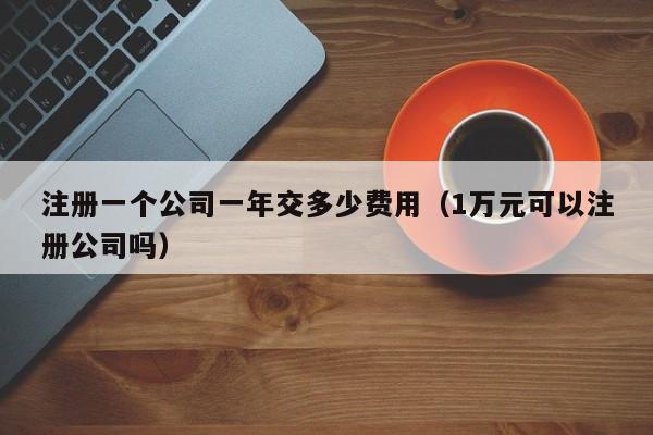 注册一个公司一年交多少费用（1万元可以注册公司吗）