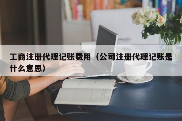 工商注册代理记账费用（公司注册代理记账是什么意思）