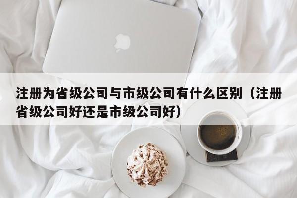 注册为省级公司与市级公司有什么区别（注册省级公司好还是市级公司好）