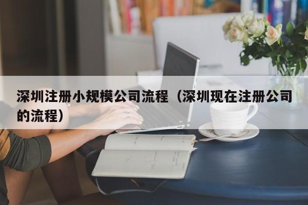 深圳注册小规模公司流程（深圳现在注册公司的流程）