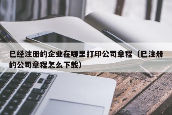 已经注册的企业在哪里打印公司章程（已注册的公司章程怎么下载）