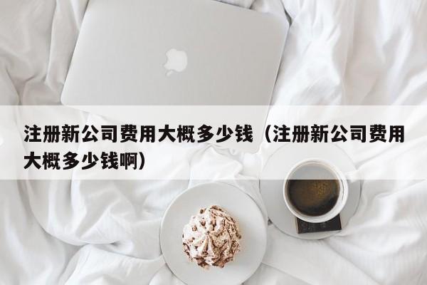 注册新公司费用大概多少钱（注册新公司费用大概多少钱啊）