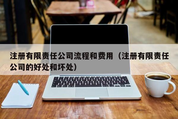 注册有限责任公司流程和费用（注册有限责任公司的好处和坏处）