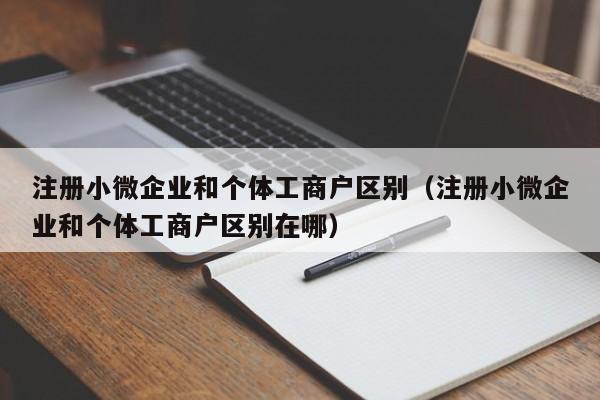 注册小微企业和个体工商户区别（注册小微企业和个体工商户区别在哪）