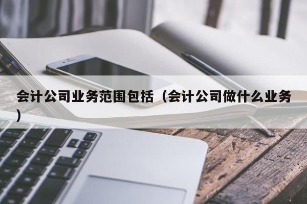 会计公司业务范围包括（会计公司做什么业务）