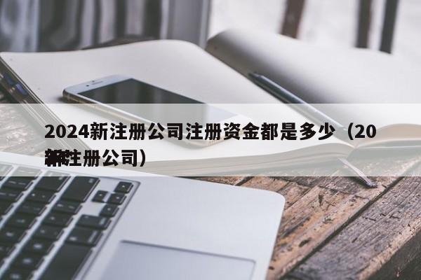 2024新注册公司注册资金都是多少（2024
年*
新注册公司）