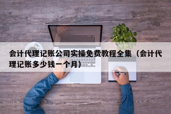 会计代理记账公司实操免费教程全集（会计代理记账多少钱一个月）