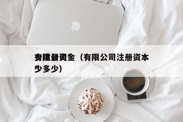 有限公司*
少注册资金（有限公司注册资本*
少多少）
