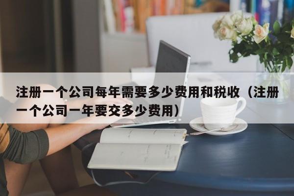 注册一个公司每年需要多少费用和税收（注册一个公司一年要交多少费用）